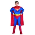 thumbnail image 1 of SUPERMAN CHILD W CHEST MED-AF142MD, 1 of 5