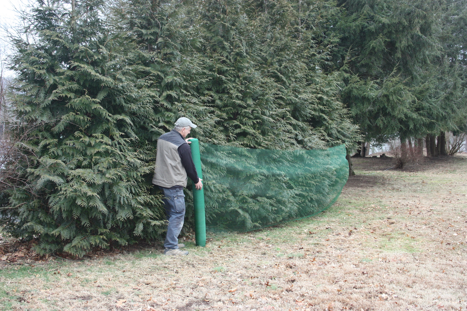 Deer Terrent Landscape Netting, Bulk Rolls, Deer Net, Garden Net, Plant Covers, Protects from Snow Damage, 330 feet Length x 60 inch Height