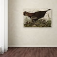 thumbnail image 4 of Trademark Fine Art "Great American Hen and Young" Canvas Art by John James Audubon, 4 of 4