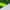 Green, variant on NIEWTR Baby First Walking Shoes Fashion All Season Children Boys Sports Shoes Flat Thick Bottom Lightweight Non Slip Lace Up (Green, 12 Little Child)