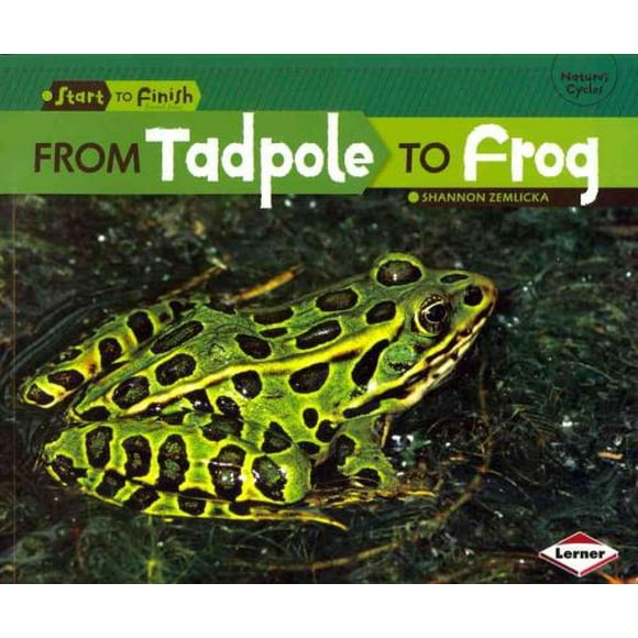 From Tadpole to Frog, Shannon Zemlicka Paperback