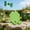 Green-5A-clearacne, variant on WWG Movable St. Patrick's Day Four Leaf Clover Decorative Ornament Plastic Green Shamrock Hanging Decor for Home Party Spring Holiday Tabletop Decoration