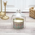 thumbnail image 5 of Plymor 5" x 6" Bell Jar Glass Display Dome Cloche (Interior size 4.75" x 4.5"), 5 of 7