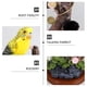 thumbnail image 5 of Encantadora forma de loros diseñados de grabación juguete educativo sin batería, 5 of 7