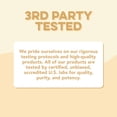 thumbnail image 6 of Clean Simple Eats Protein Powder Variety Pack - Whey Protein Isolate - 10 Count, 6 of 10