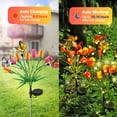 thumbnail image 7 of Solar Garden Lights, 7 Colorful Tulip Flower and 3 Butterfly lED Lights,Swaying With The Wind,Solar Outdoor Lights,Courtyard Channel Decoration(2 Pack）, 7 of 7