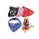 thumbnail image 1 of 4pcs Collar Para Perro Gato Pañuelo Paliacate Varios Tamaños Xtellar multicolor, 1 of 4