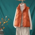 thumbnail image 2 of Ladies Warm and Versatile Down Cotton Vest, 2 of 9