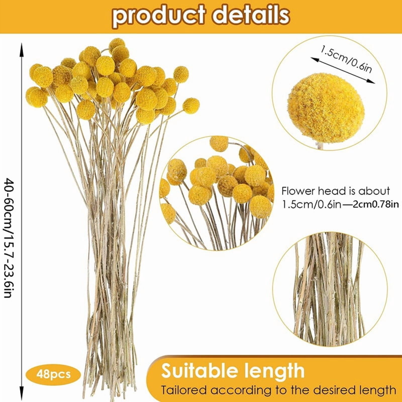 144 Pcs Dried Flowers Dried BillyBalls Dried Craspedia Flowers Button Yellow Dried Flowers Fake Silk Dried Flower
