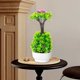 thumbnail image 1 of Decoración del hogar, decoración de habitaciones, decoración de paredes, plantas verdes artificiales, simulación de macetas, decoración del vestíbulo del hotel, oficina en casa, plantas verdes, decora, 1 of 6