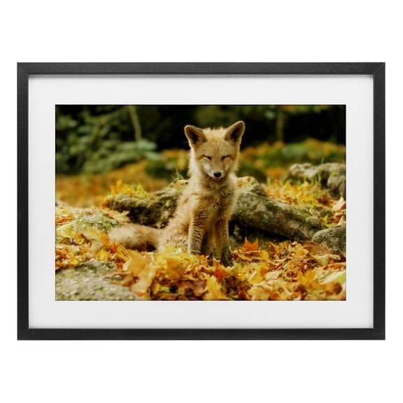 Stupell Industries Sleepy Fall Fox in Autumn Birch Framed Print Under Glass design by Carrie Ann Grippo-Pike, 14 x 20