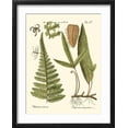 thumbnail image 2 of Art.com Small Antique Fern IV Art Print by Vision Studio, Black Frame Wall Art, 17" x 21", 2 of 5
