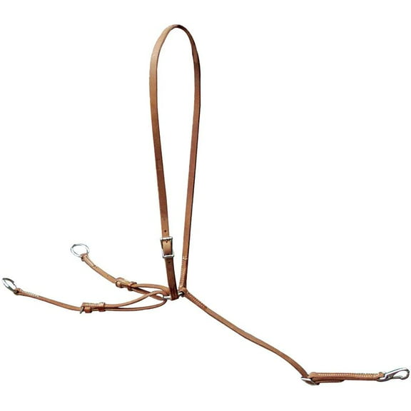 Professional S Choice Texas Training Fork