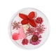 thumbnail image 2 of Uñas postizas, regalos para mujeres, decoración de uñas con flores secas, uñas japonesas, encaje 3D inmortal, juego de narcisos, lentejuelas para uñas., 2 of 2