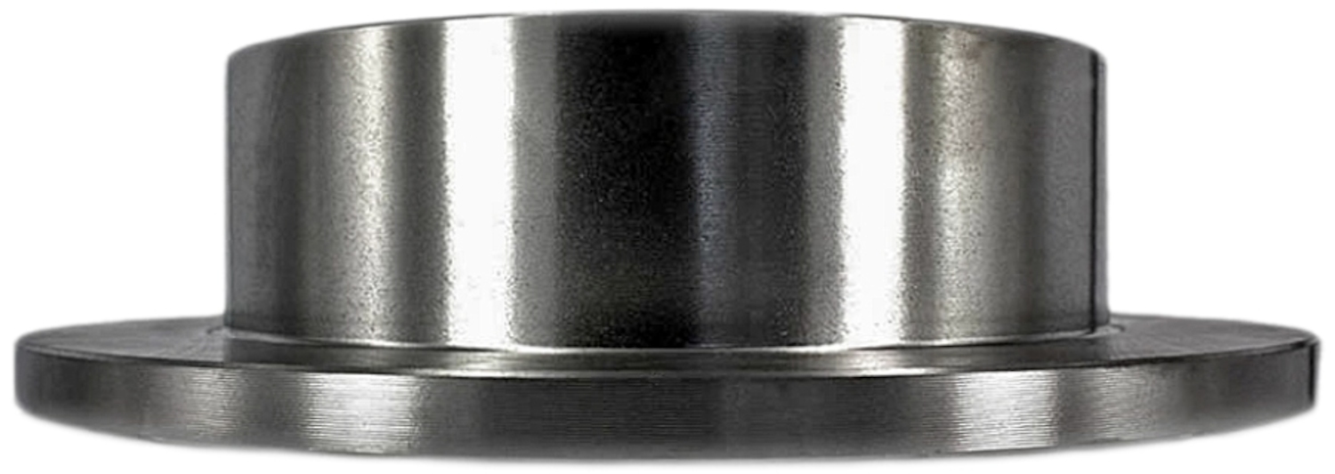 Winstop Brake Rotor, Rear WS229353, Dodge Dakota 2004-2003