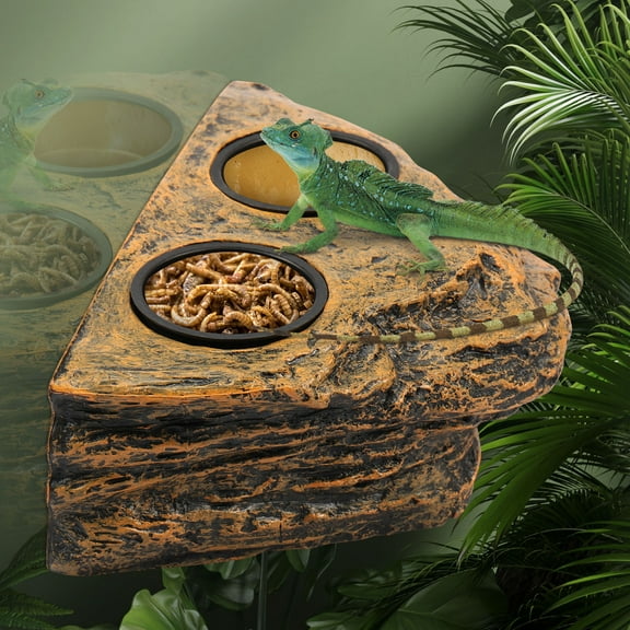 Reptile Magnetic Feeder Ledge Plastic Reptile Food Water Dish Double Bowl Gecko Feeder Ledge Easy Install Reptile Feeding Bowl Lizard Feeding Ledge for Lizard Crested Gecko