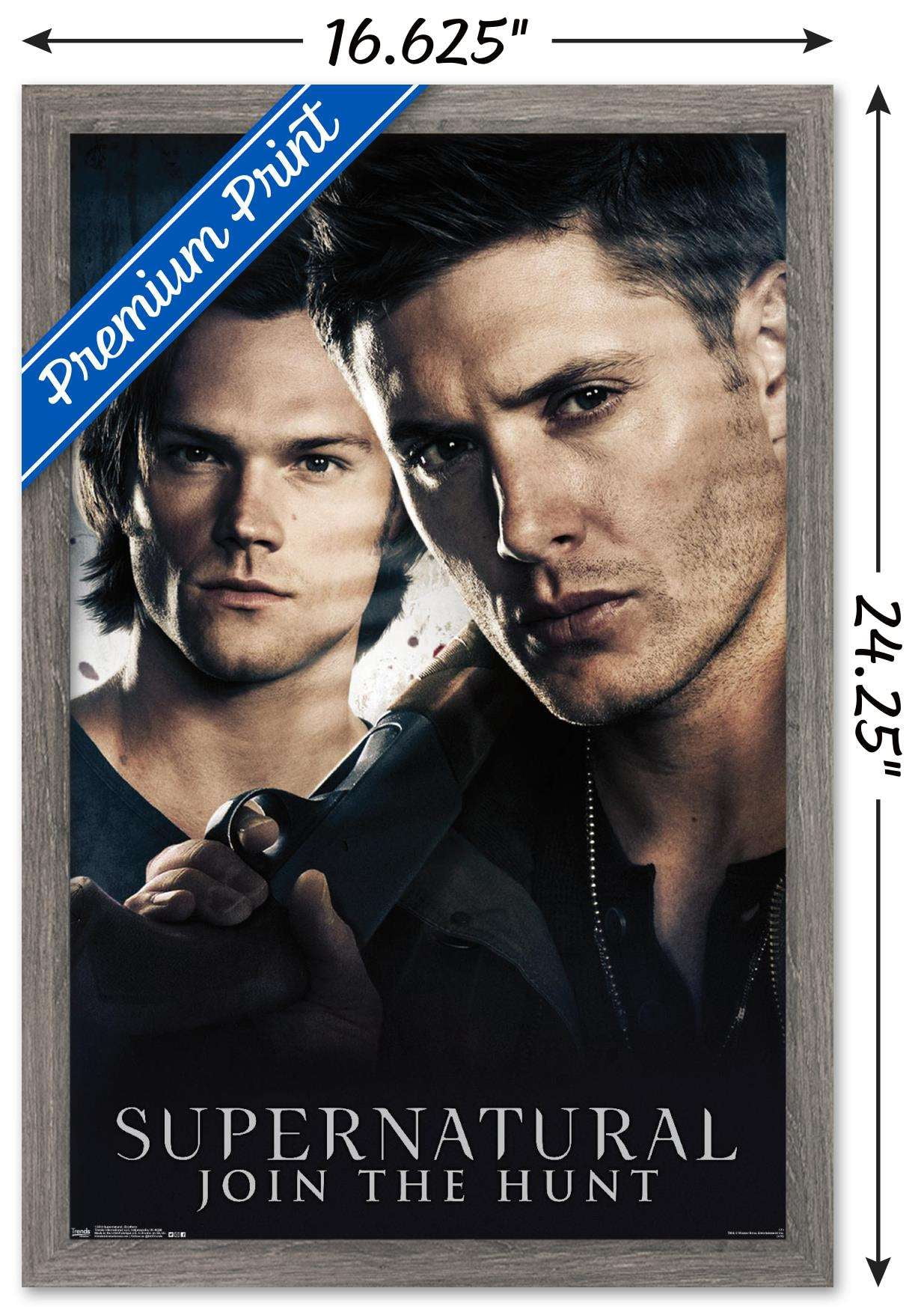 Supernatural - Brothers Wall Poster, 14.725" x 22.375", Framed