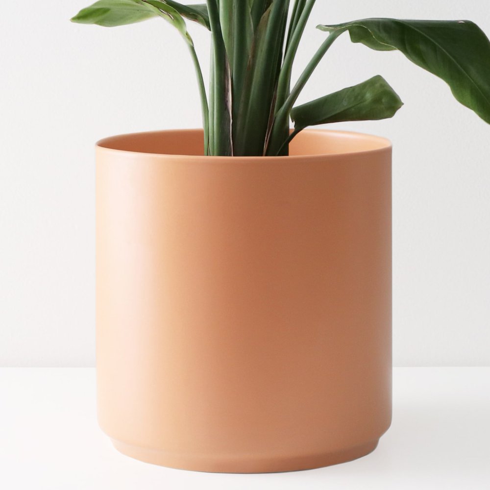 Peach & Pebble 7 inch Modern Ceramic Planter Set, Peach, 7" Set of 2