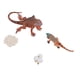 thumbnail image 5 of MODELO DE CICLO DE CRECIMIENTO DE IGUANA, ORNAMENTO IGUANA MODELO DE CICLO de, 5 of 7