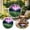 A, variant on 2-in-1 Northern Lights Acrylic Puzzle, Window Suncatcher, Light-Projection, DIY Craft, Decorative Hanging Ornament, For Home & Garden 6 Inch, 4 Styles