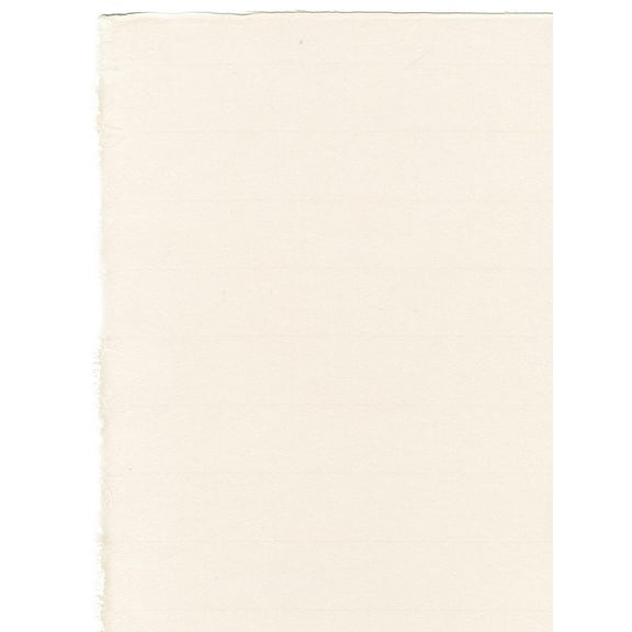 Hosho Printmaking Paper 19 in. x 24 in., sheet, professional grade (pack of 10)