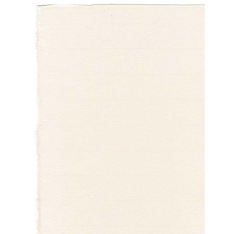 Hosho Printmaking Paper 19 in. x 24 in., sheet, professional grade