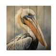thumbnail image 3 of Designart "Majestic Seabird Pelican III" Animals Print on Natural Pine Wood, 3 of 5