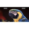 thumbnail image 1 of BP-099 Parrot- Photographic- Full Color- Bicycle License Plate, 1 of 1