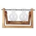 thumbnail image 1 of Terrario de plantas Nikou con soporte de madera florero de vidrio jardinera de vidrio escritorio marco de madera 2 botellas, 1 of 15