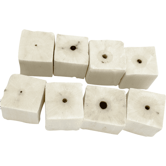 5507 Pk8 Small Sola Cube - Handcut Natural Sola Wood Chewable Bird Foot Toys