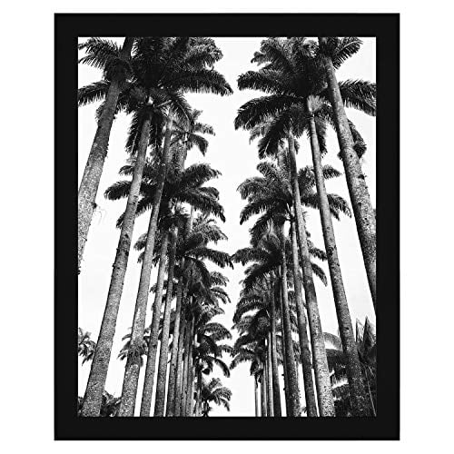 Photo 1 of Americanflat 22x28 Poster Frame in Black with Polished Plexiglass 