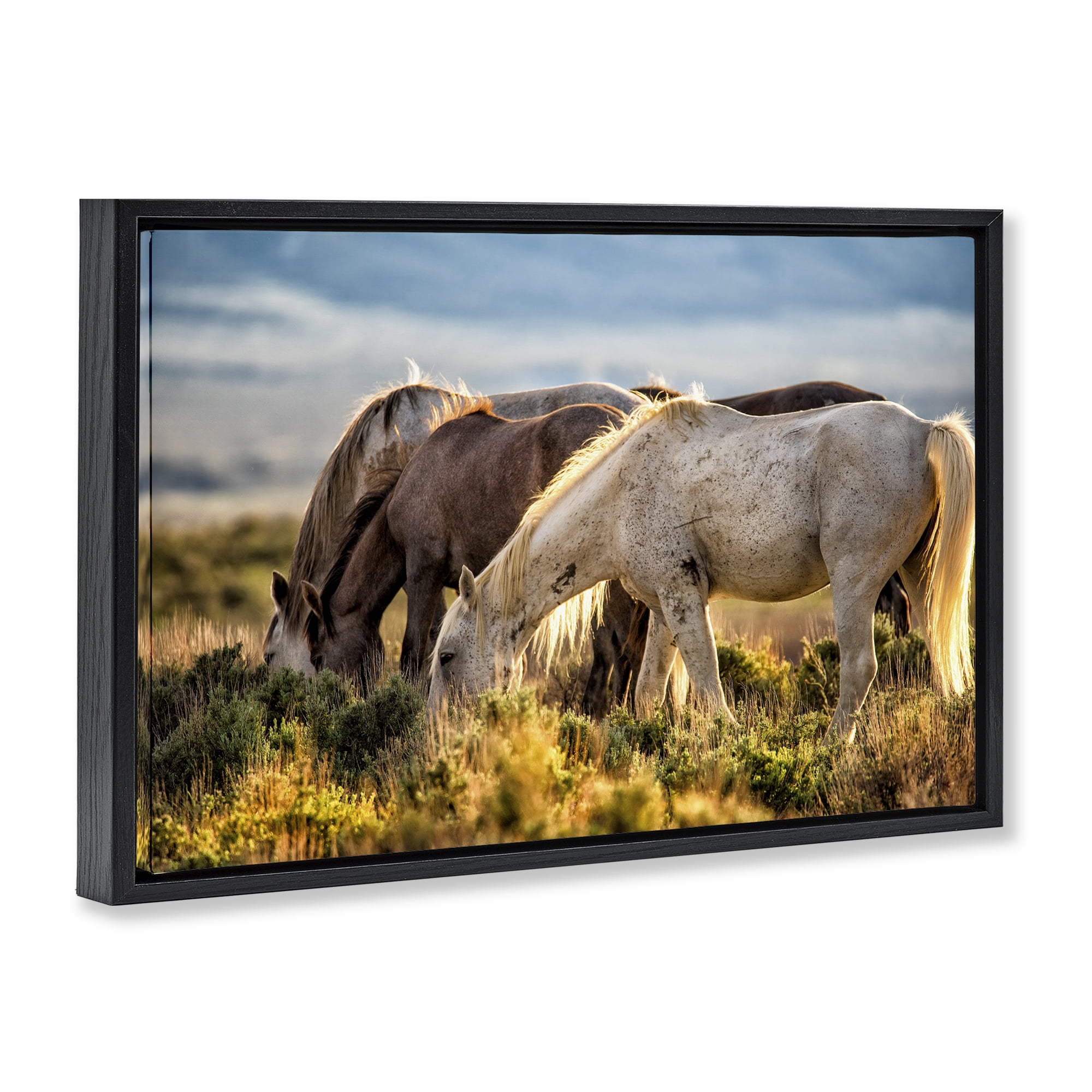 Stupell Industries Equine Evening Graze Black Framed Floater Canvas Wall Art, design by Tim West