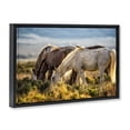thumbnail image 2 of Stupell Industries Southwestern Equine Evening Graze Black Floating Frame Canvas Art, 31 x 21, by Tim West, 2 of 8