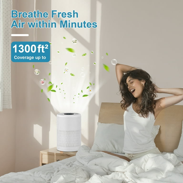 AIRFIRE AP201 HEPA Air Purifier for Large Rooms, 1300 Sq Ft photo 4