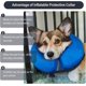 thumbnail image 2 of Inflatable - Recovery - Cone Collar For Dogs Cats After Surgery Soft Protective Recovery Collar Cone Prevent Pets From Touching Stitches Wounds And Ra, 2 of 4