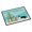 Multicolor, variant on Border Collie Christmas Tree Door Mat