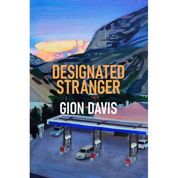 Designated Stranger, (Paperback)