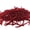 Crimson, variant on M Altemura Soft Rubber Fishing Lures for Lure Fishing, 20/50/100pcs Glow in Dark or Regular Realistic Earthworm Baits for Bass Bream, Soft Plastic Worm