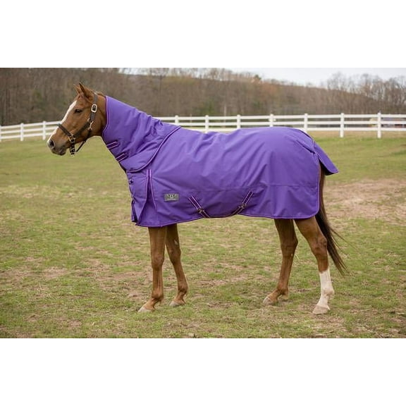 TuffRider 1200 D Comfy Winter Medium Weight Turnout Blanket w/ Detachable Neck- 200 GMS- Purple- 72
