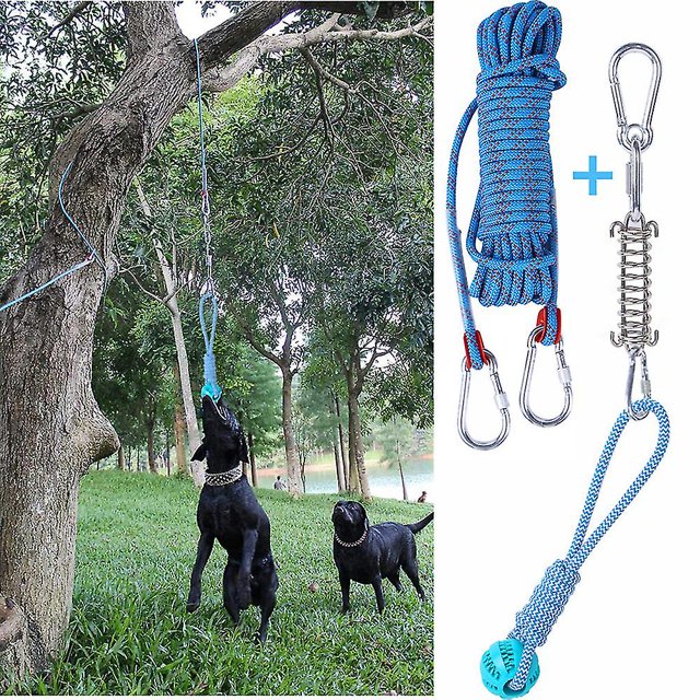 Ensemble de Jouets Perche pour Chien Extérieur Suspendu Exercice Corde en Coton Jouet de Dentition pour Chien
