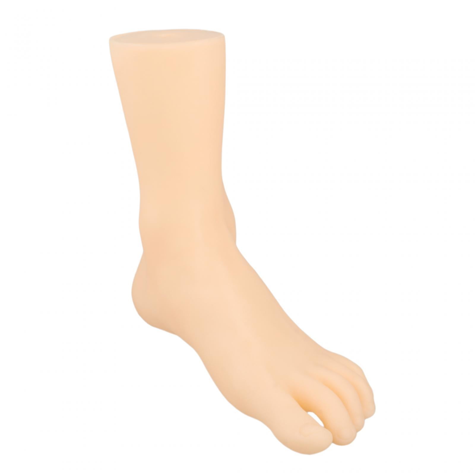 TOOYFUL 2x Elegant Female Foot Mannequin for Shoe And Sock Exhibition