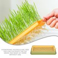 thumbnail image 6 of OULII Cat Grass Cultivation Box Indoor Planting Plastic 1Pack, 6 of 6