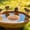 A, variant on Seyotauo Solid Copper Disk for Bird Bath Cleaner, Pure Copper Round for Outdoor Water Basin Algae Control, Natural Algaecide Disk for Garden Birdbath Water Care
