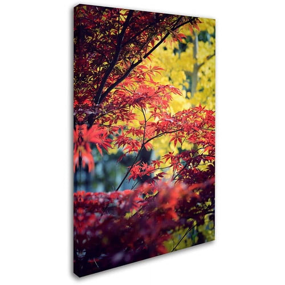 Trademark Fine Art "Red vs Yellow" Canvas Art by Philippe Sainte-Laudy