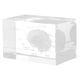thumbnail image 1 of Pisapapeles modelo anatómico del cerebro humano 3D en cubo de cristal, regalos científicos para estudiantes de medicina, decoraciones para el hogar y la Oficina, 1 of 6