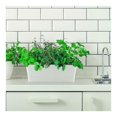 thumbnail image 3 of Herb Planter Pot,12x3.8x4.6In Plastic Window Box with Drainage for ,Reusable Rectangular Windowsill Planter for Porch,Home Decor,White,1Pack, 3 of 6