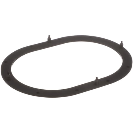 Delphi Fuel P. Tank Seal