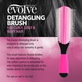 thumbnail image 5 of Evolve Detangling Brush, 5 of 5