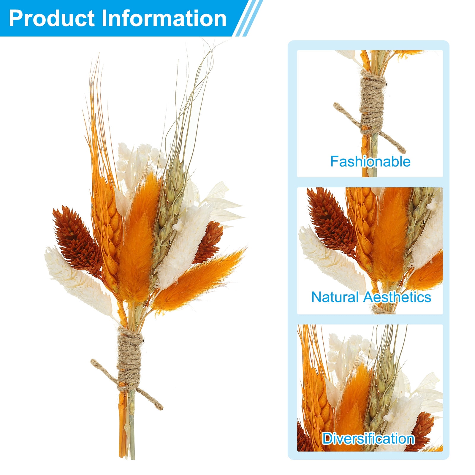 Uxcell 10 Pcs Mini Pampas Grass Dried Flower Bouquet Baby's Breath Boho DIY Gift Orange