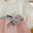 thumbnail image 6 of Maxcozy Toddler Baby Girl Kids Tulle Tutu Dress Birthday Prom Pageant Dress Outfits, 6 of 6